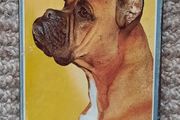 Vintage Seita 'Le Boxer' dog match box