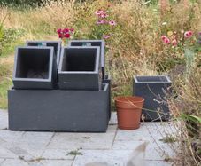 plant pots