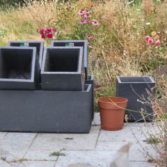 plant pots