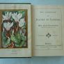 The Language and Poetry of Flowers (book) Image 4