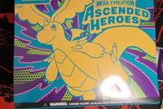pokemon ascended hero's etb