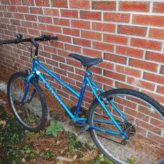 teenager and young adult female bikes