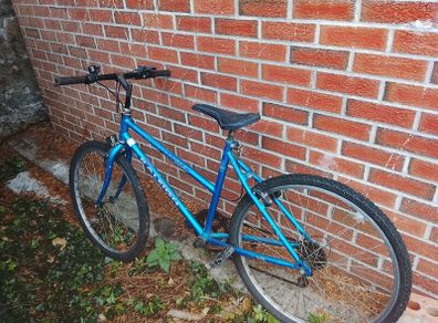 teenager and young adult female bikes