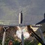 Trampoline Springs Image 2