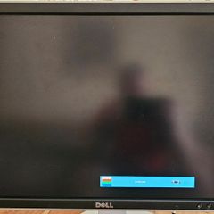 Dell 2408wfpb Monitor