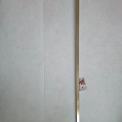 "Roman" Shower T Bar Fitting in antique brass