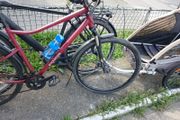 bike trailer and ladies bike