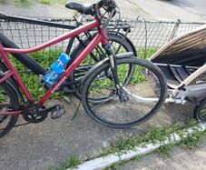 bike trailer and ladies bike