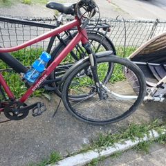 bike trailer and ladies bike