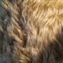 25" 1930's Fully Articulated Mohair Teddy Bear Image 10
