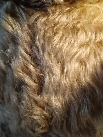25" 1930's Fully Articulated Mohair Teddy Bear