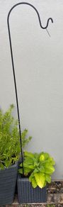 plant bird feeder hanger