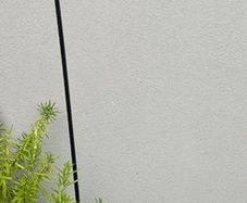 plant bird feeder hanger