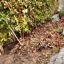 Front Porch Planter Box, Garden Sleepers Edging Image 8