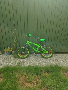 16 inch bike with stabilisers