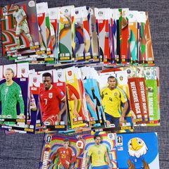 Panini FIFA World Cup Cards bundle