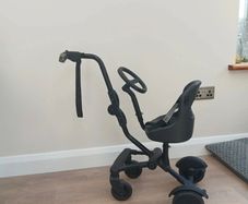 buggy side cart