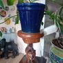 hardwood thai cat plant stand Image 2