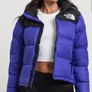 Authentic The North Face Women - 1996 Retro Nuptse Jacket - Lapis Blue Black - Size L - BNWT RRP 330 Image 2