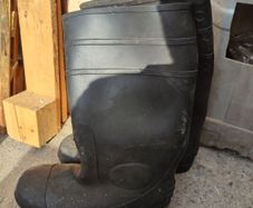 wellies size 10 (44)