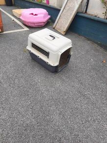 dog crate