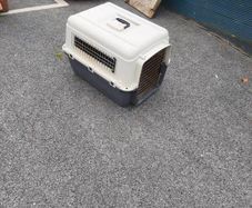dog crate