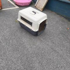dog crate