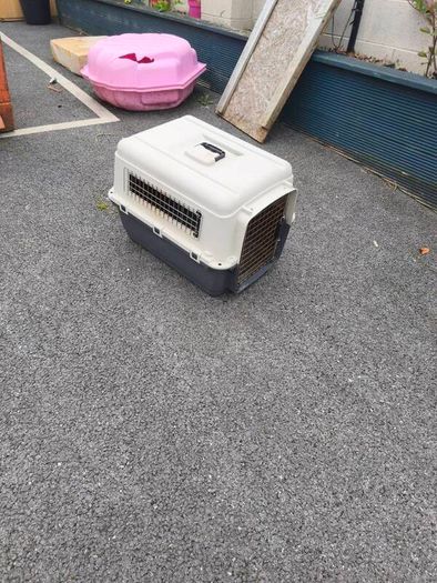 dog crate