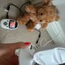 Baby monitor Image 2