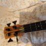 Bass Ukulele Image 2