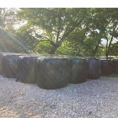 Silage and Hay