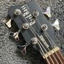 WARWICK Double Buck 5 String Rockbass Image 3