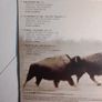 U2  2cd + Dvd - The Best Of 1990-2000 Image 4