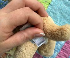 jellycat