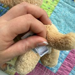 jellycat