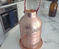 Redbreast Bird Feeder