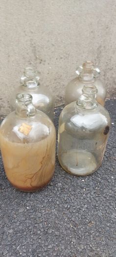 13 x demi johns,glass jars ,used condition, needs a clean,,buyer collects,,10 euros each or a deal  for the 13 ,sold as is