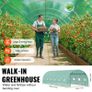 Polytunnel 20ft  Galvanized Frame PE Cover Green  Walk-in Tunnel Greenhouse Image 4