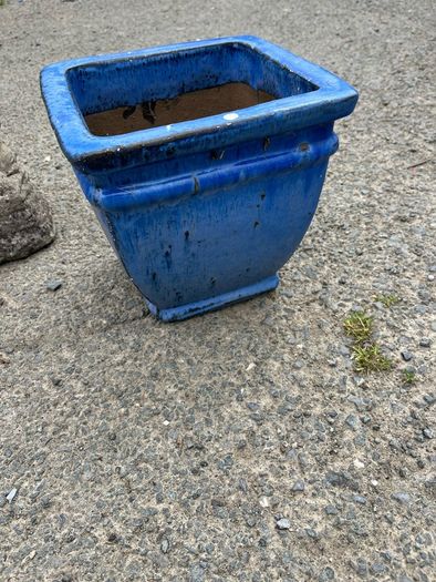 plant pots