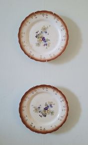 Antique pair of china plates