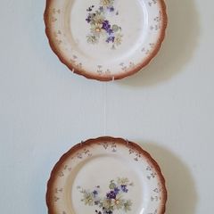 Antique pair of china plates