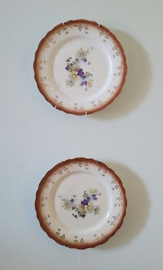Antique pair of china plates