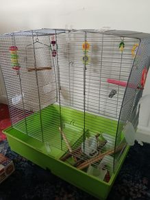 Birdcage
