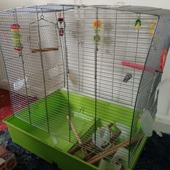 Birdcage