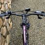 Carerra Endeavour ladies mountain bike Image 6