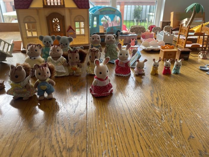 Large Sylvanian Collection