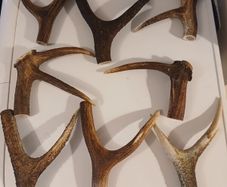 hiking stick handles