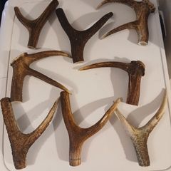hiking stick handles