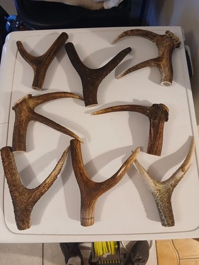 hiking stick handles