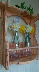 Rustic wall or stand flower / plant propagation